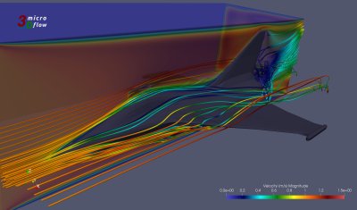 Microflow 3D