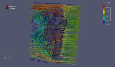 Microflow 3D